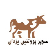 سوپر پروتئین یزدان
